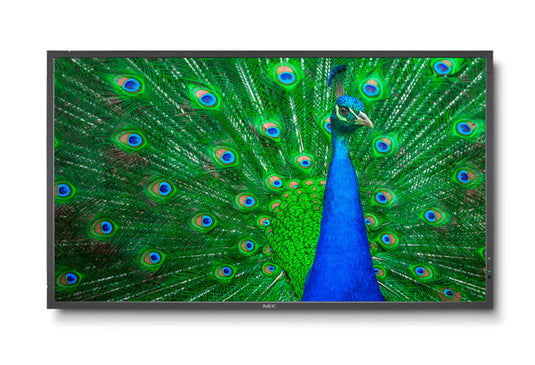 NEC MultiSync C651Q Digital signage flat panel 165.1 cm (65") LED 350 cd/m¬? 4K Ultra HD Black 24/7 - TopAV
