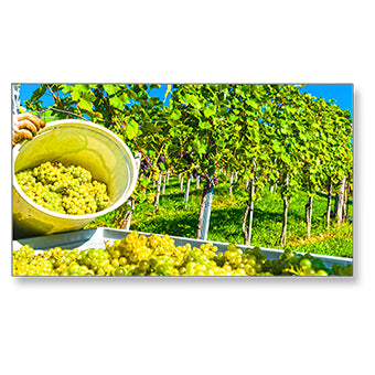 NEC MultiSync X464UNV-2 Signage Display Digital signage flat panel 116.8 cm (46") LED 500 cd/m¬? Full HD Black 24/7 - TopAV