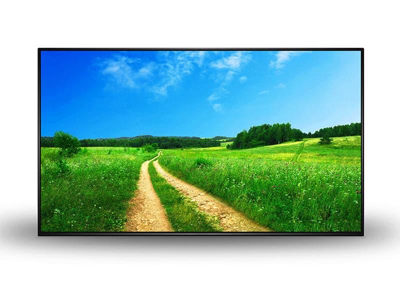 Allsee Technologies M32P6 32" Professional Monitor