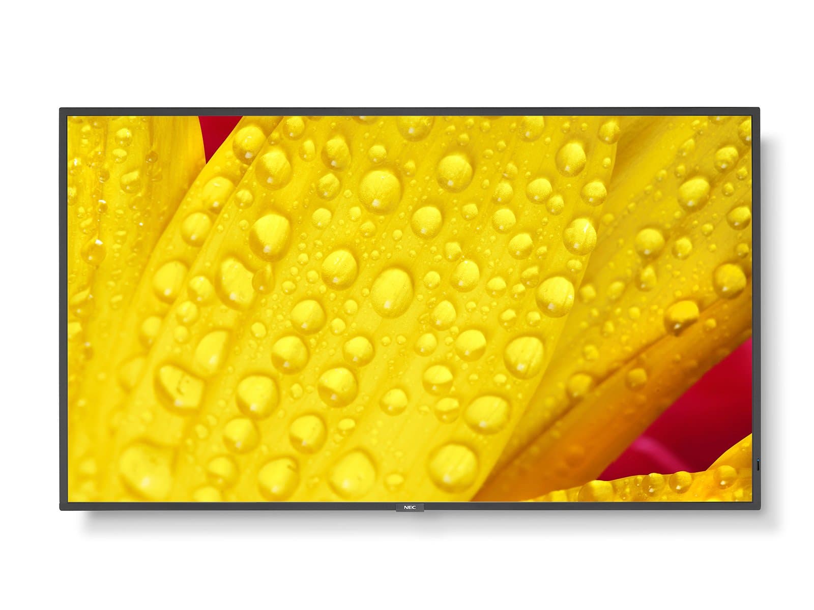 Sharp L50M651-2 65" Commercial Display product photo