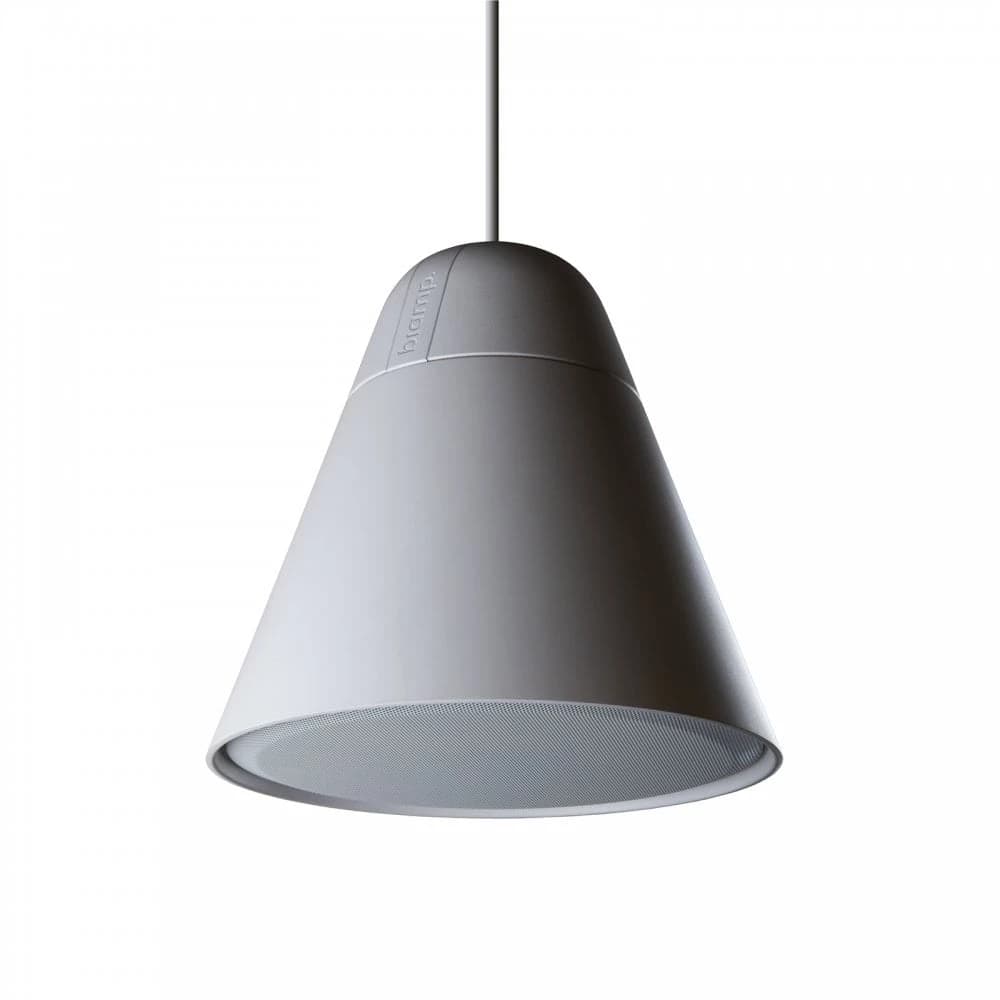 Biamp Desono P30DT Two-Way 4.25-inch Pendant Loudspeaker White
