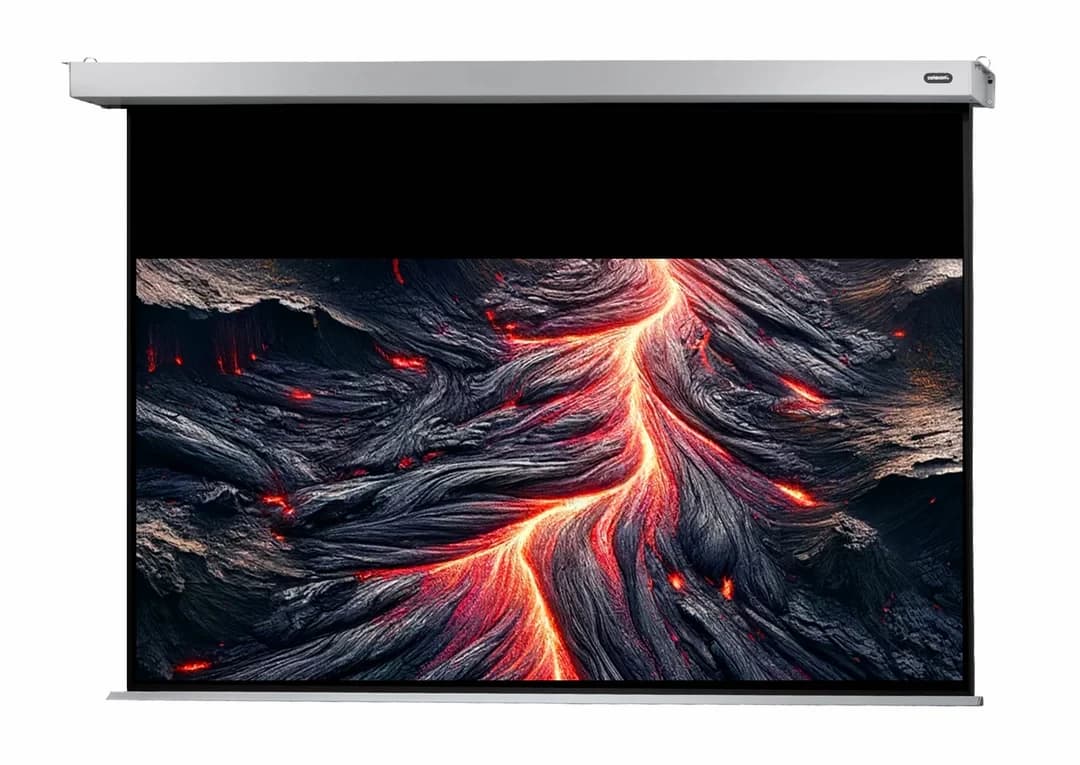 Celexon 1090760 Electric Professional Plus Screen 220 x 220 cm