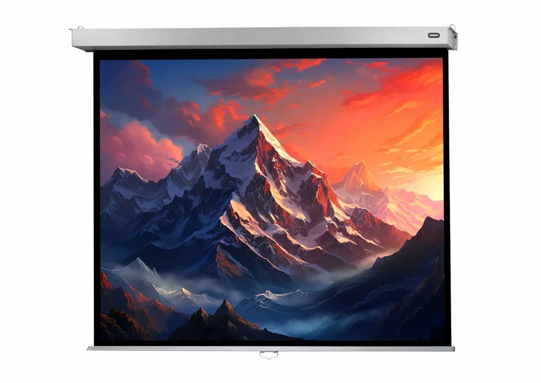 Celexon 1090777 screen Manual Professional Plus 200 x 200 cm