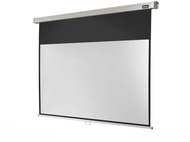Celexon 1090052 screen Manual Professional 220 x 165 cm