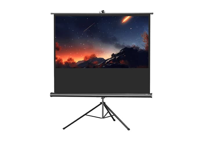 Celexon 1090023 screen Tripod Economy Projector Screen 244 x 138 cm
