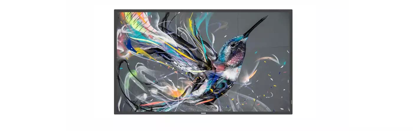 Philips 65BDL3511Q 65" Q-Line Display — manufacturer product-family image (single product shot)