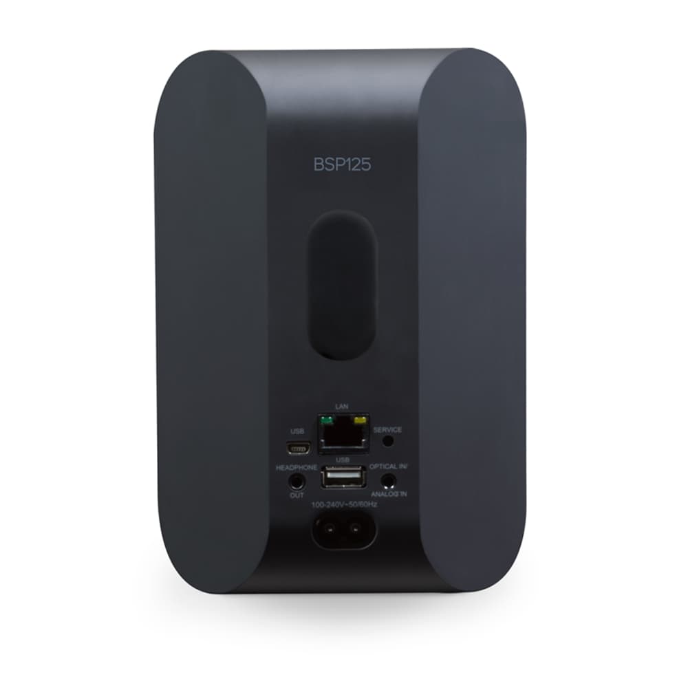 Bluesound Professional BSP125 Network Streaming Speaker, Black — rear view