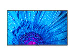 NEC MultiSync M431 Digital signage flat panel 109.2 cm (43") IPS 500 cd/m² 4K Ultra HD Black 24/7 - TopAV