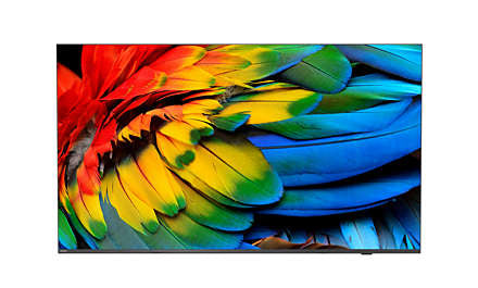 Philips 58HFL6214U/12 TV 147.3 cm (58") 4K Ultra HD Wi-Fi Anthracite 400 cd/m² - TopAV