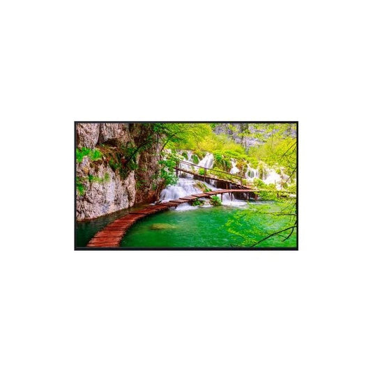 Panasonic 43" TH-43CQE2W C4K UHD Display - TopAV